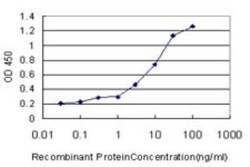 RanBP3 Antibody (2E10), Novus Biologicals 0.1 mg | Buy Online | Novus Biologicals | Fisher Scientific