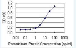Reg1A Antibody (5F8), Novus Biologicals 100 &mu;g | Buy Online | Novus Biologicals | Fisher Scientific