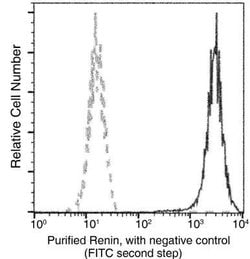 Renin Rabbit anti-Human, Clone: 9, Novus Biologicals 100 &mu;g; Unconjugated:Antibodies,