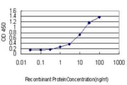 Rheb Antibody (1E12), Novus Biologicals 0.1 mg, Unconjugated:Antibodies,