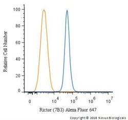 Rictor Antibody (7B3) - Azide and BSA Free, Novus Biologicals 0.1 mL; Unconjugated:Antibodies,