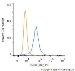 Rictor Antibody (7B3) - Azide and BSA Free, Novus Biologicals 0.1 mL; Unconjugated:Antibodies,