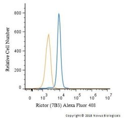 Rictor Antibody (7B3) - Azide and BSA Free, Novus Biologicals 0.1 mL; Unconjugated:Antibodies,