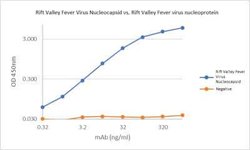 Rift Valley Fever Virus Nucleocapsid Mouse anti-Virus, Clone: AA11.1.B5.D10, Novus Biologicals 0.5 mg | Buy Online | Novus Biologicals | Fisher Scientific