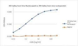 Rift Valley Fever Virus Nucleocapsid Mouse anti-Virus, Clone: IA4.1.D5.B8,