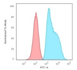 S100A2 Antibody (CPTC-S100A2-2) - Azide and BSA Free, Novus Biologicals