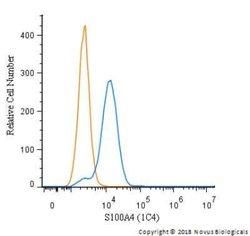 S100A4 Antibody (1C4) - Azide and BSA Free, Novus Biologicals 0.1 mg; Unconjugated:Antibodies,