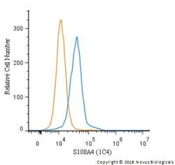 S100A4 Antibody (1C4) - Azide and BSA Free, Novus Biologicals 0.1 mg; Unconjugated:Antibodies,
