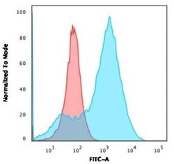 S100A4 Antibody (S100A4/1482), Novus Biologicals:Antibodies:Primary Antibodies