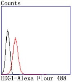 S1P1/EDG-1 Antibody (JM10-66), Novus Biologicals 100 &mu;L | Buy Online | Novus Biologicals | Fisher Scientific