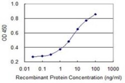 SAP130 Antibody (2F1), Novus Biologicals 0.1 mg, Unconjugated:Antikörper