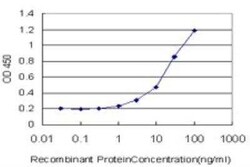 SAP30 Antibody (4D2), Novus Biologicals 0.1 mg | Buy Online | Novus Biologicals | Fisher Scientific