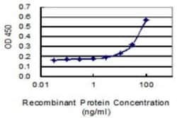 SAR1 Antibody (3G5), Novus Biologicals 0.1 mg, Unconjugated:Antibodies,