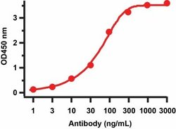 SARS-CoV-2 Membrane Protein Antibody - BSA Free, Novus Biologicals 0.1