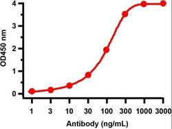 SARS-CoV-2 NSP10 Antibody - BSA Free, Novus Biologicals 0.1 mg | Buy Online | Novus Biologicals | Fisher Scientific