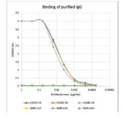 SARS-CoV-2 Nucleocapsid Antibody (75G5a), Novus Biologicals 0.05 mg | Buy Online | Novus Biologicals | Fisher Scientific