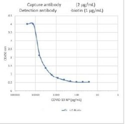 SARS-CoV-2 Nucleocapsid Antibody (75G5a), Novus Biologicals 0.05 mg | Buy Online | Novus Biologicals | Fisher Scientific