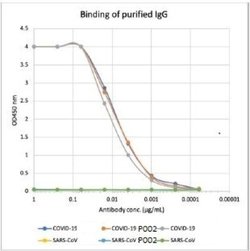SARS-CoV-2 Nucleocapsid Antibody (84C4a), Novus Biologicals 0.05 mg | Buy Online | Novus Biologicals | Fisher Scientific