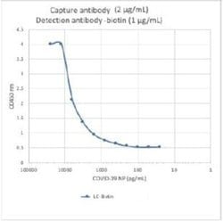 SARS-CoV-2 Nucleocapsid Antibody (84C4a), Novus Biologicals 0.05 mg | Buy Online | Novus Biologicals | Fisher Scientific