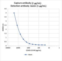 SARS-CoV-2 Nucleocapsid Antibody (84D7), Novus Biologicals 0.05 mg | Buy Online | Novus Biologicals | Fisher Scientific