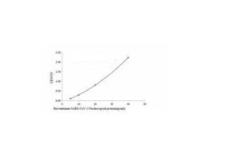 SARS-CoV-2 Nucleocapsid Antibody (D207) - Azide and BSA Free, Novus Biologicals