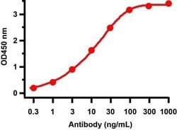 SARS-CoV-2 ORF10 Antibody - BSA Free, Novus Biologicals 0.1 mg; Unconjugated:Antibodies,