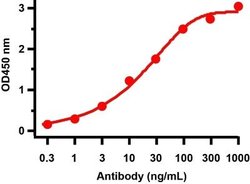 SARS-CoV-2 ORF7a Antibody - BSA Free, Novus Biologicals 0.1 mg; Unconjugated:Antibodies,