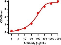SARS-CoV-2 ORF8 Antibody - BSA Free, Novus Biologicals 0.1 mg; Unconjugated:Antibodies,