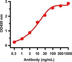 SARS-CoV-2 ORF9b Antibody - BSA Free, Novus Biologicals 0.1 mg | Buy Online | Novus Biologicals | Fisher Scientific