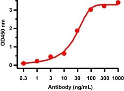 SARS-CoV-2 ORF9c Antibody - BSA Free, Novus Biologicals 0.1 mg | Buy Online | Bio-Techne | Fisher Scientific
