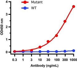 SARS-CoV-2 Spike Antibody (5G12G11) - Gamma Variant, P.1, Brazil - BSA Free, Novus Biologicals 0.1 mg | Buy Online | Novus Biologicals | Fisher Scientific