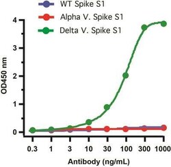 SARS-CoV-2 Spike Antibody (5H4C5) - Delta Variant, B.1.617.2, India - BSA Free, Novus Biologicals 0.1 mg | Buy Online | Novus Biologicals | Fisher Scientific