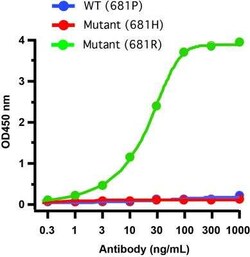 SARS-CoV-2 Spike Antibody (5H4C5) - Delta Variant, B.1.617.2, India - BSA Free, Novus Biologicals 0.1 mg | Buy Online | Novus Biologicals | Fisher Scientific