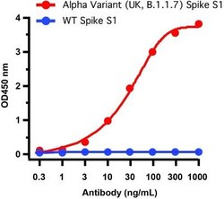 SARS-CoV-2 Spike Antibody (7C11H11) - Alpha Variant, B.1.1.7, UK - BSA Free, Novus Biologicals 0.1 mg | Buy Online | Novus Biologicals | Fisher Scientific