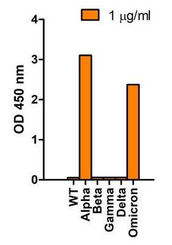 SARS-CoV-2 Spike Antibody (7C11H11) - Alpha Variant, B.1.1.7, UK - BSA Free, Novus Biologicals 0.1 mg | Buy Online | Novus Biologicals | Fisher Scientific