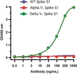 SARS-CoV-2 Spike Antibody (7E3C5) - Delta Variant, B.1.617.2, India - BSA Free, Novus Biologicals 0.1 mg | Buy Online | Novus Biologicals | Fisher Scientific