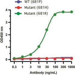 SARS-CoV-2 Spike Antibody (7E3C5) - Delta Variant, B.1.617.2, India - BSA Free, Novus Biologicals 0.1 mg | Buy Online | Novus Biologicals | Fisher Scientific