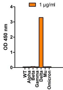 SARS-CoV-2 Spike Antibody (7E3C5) - Delta Variant, B.1.617.2, India - BSA Free, Novus Biologicals 0.1 mg | Buy Online | Novus Biologicals | Fisher Scientific