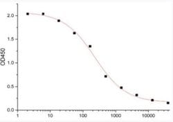 SARS-CoV-2 Spike Antibody (8A5) - Azide and BSA Free, Novus Biologicals