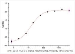 SARS-CoV-2 Spike Antibody (8A5) - Azide and BSA Free, Novus Biologicals