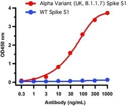 SARS-CoV-2 Spike Antibody (9F7E4) - Alpha Variant, B.1.1.7, UK - BSA Free, Novus Biologicals 0.1 mg | Buy Online | Novus Biologicals | Fisher Scientific