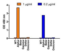 SARS-CoV-2 Spike Antibody (9F7E4) - Alpha Variant, B.1.1.7, UK - BSA Free, Novus Biologicals 0.1 mg | Buy Online | Novus Biologicals | Fisher Scientific