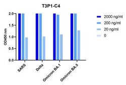 SARS-CoV-2 Spike Llama anti-SARS-CoV, SARS-CoV-2, Clone: T3P1C4, Novus Biologicals 0.025 mg | Buy Online | Novus Biologicals | Fisher Scientific
