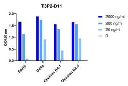 SARS-CoV-2 Spike Llama anti-SARS-CoV, SARS-CoV-2, Clone: T3P2D11, Novus
