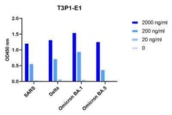SARS-CoV-2 Spike Llama anti-SARS-CoV, SARS-CoV-2, Clone: T3P2E1, Novus Biologicals 0.025 mg | Buy Online | Novus Biologicals | Fisher Scientific