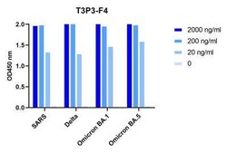 SARS-CoV-2 Spike Llama anti-SARS-CoV, SARS-CoV-2, Clone: T3P3F4, Novus Biologicals 0.025 mg | Buy Online | Novus Biologicals | Fisher Scientific