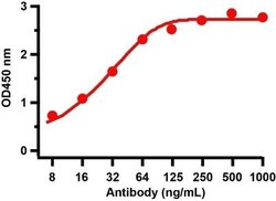 SARS-CoV-2 Spike Antibody - BSA Free, Novus Biologicals 0.1 mg | Buy Online | Novus Biologicals | Fisher Scientific
