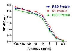 SARS-CoV-2 Spike RBD Antibody (RBD-2B9) - VHH - Azide and BSA Free, Novus Biologicals 0.1 mg | Buy Online | Novus Biologicals | Fisher Scientific