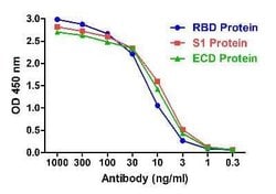 SARS-CoV-2 Spike RBD Antibody (T4P5-H12) - VHH - Azide and BSA Free, Novus