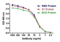 SARS-CoV-2 Spike RBD Antibody (T5P4-A12) - VHH - Azide and BSA Free, Novus Biologicals 0.1 mg | Buy Online | Novus Biologicals | Fisher Scientific